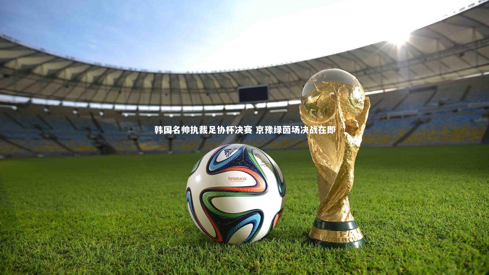 【金年会官方网站】韩国名帅执裁足协杯决赛 京豫绿茵场决战在即