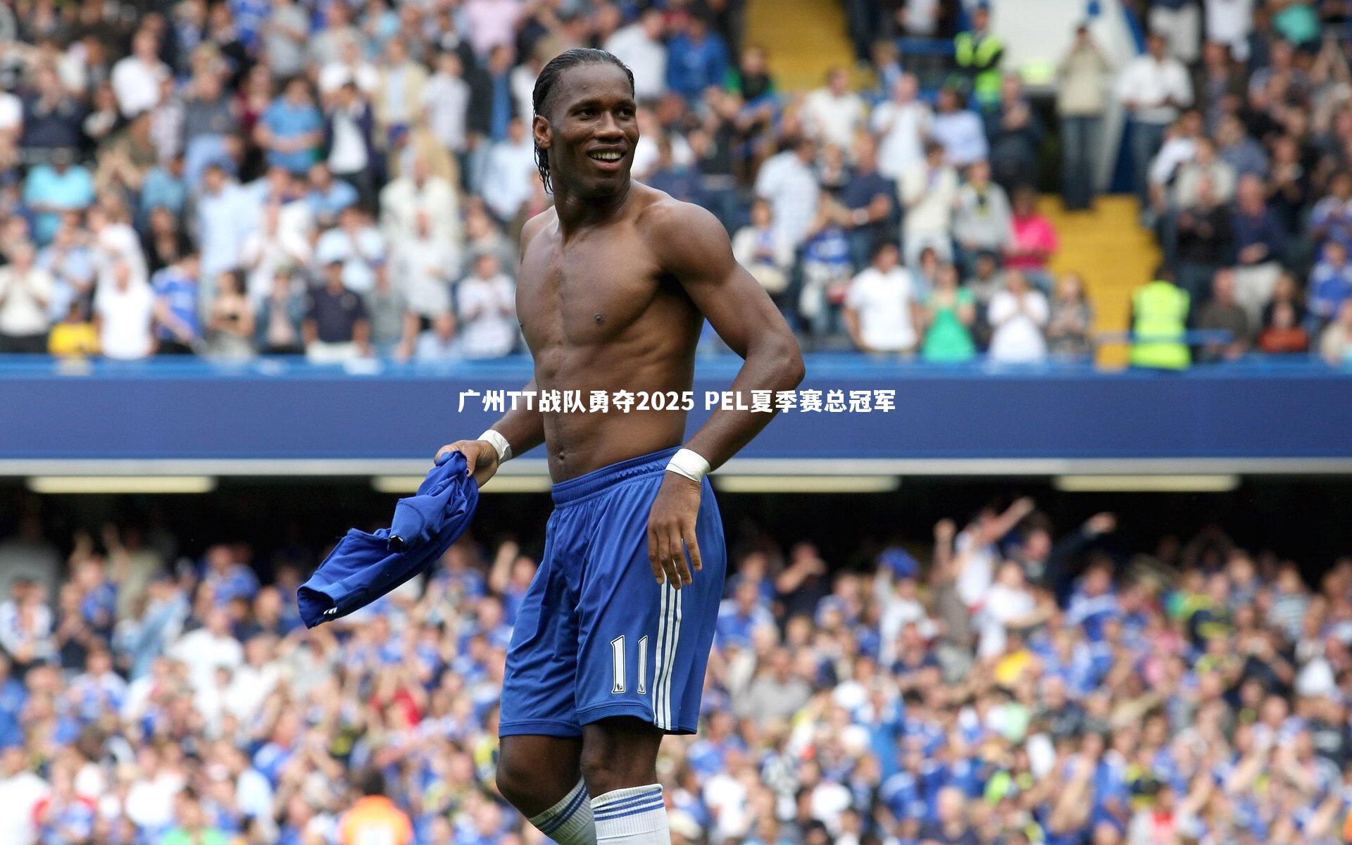 广州TT战队勇夺2025 PEL夏季赛总冠军